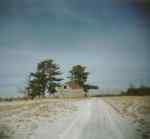 cadott shack