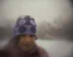 purple blurry heather