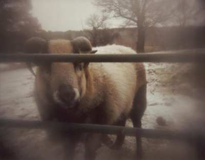 this guy tried to eat me